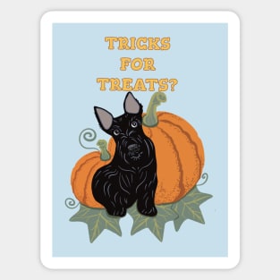 Scottie Dog Halloween Trick or Treat Sticker